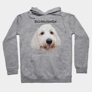 Goldendoodle Dog Hoodie